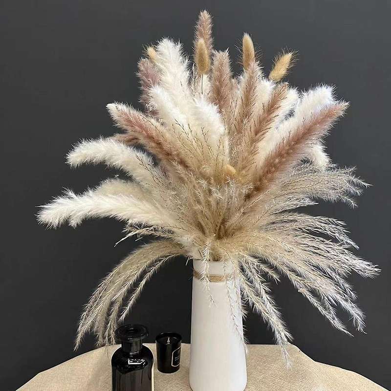 75pcs Dried Pampas Grass Decor, 17.5inch Dry Flowers