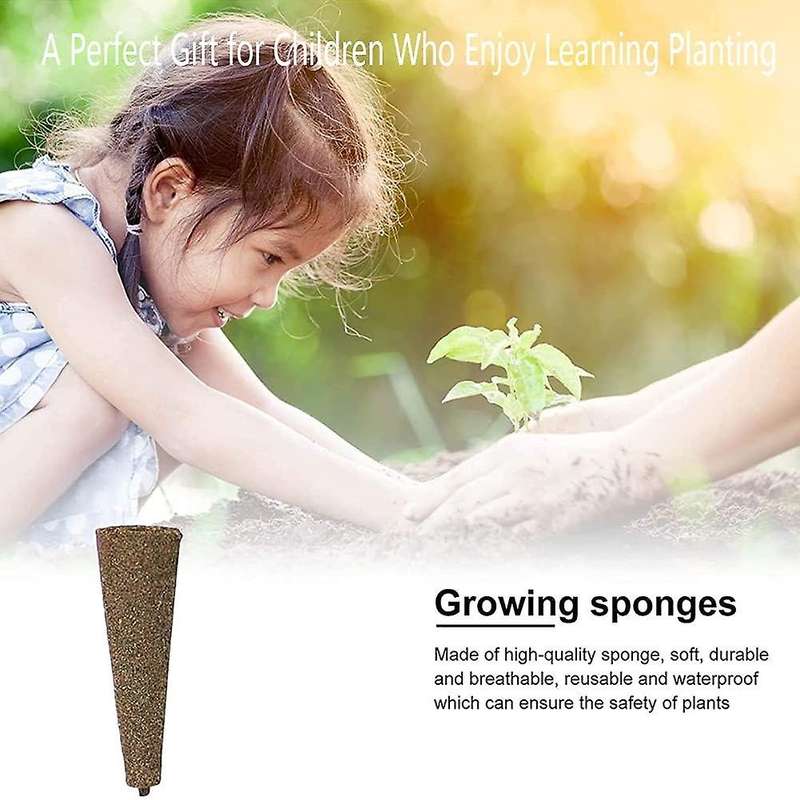 Plant Growing Plugs Sponges for Hydroponic Plants Growth, Pack Of 50