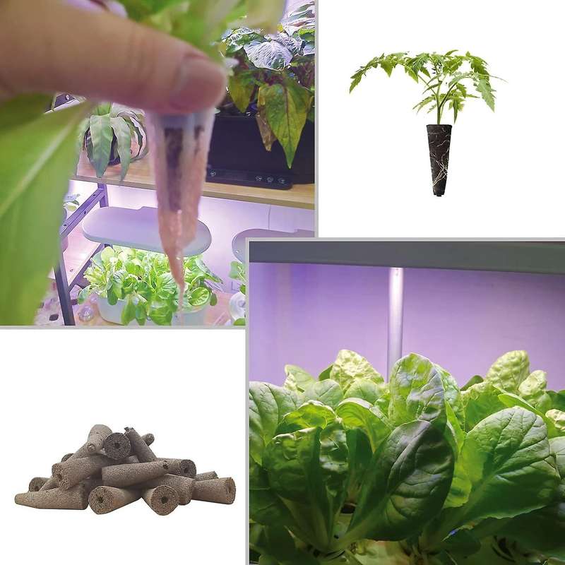 Plant Growing Plugs Sponges for Hydroponic Plants Growth, Pack Of 50