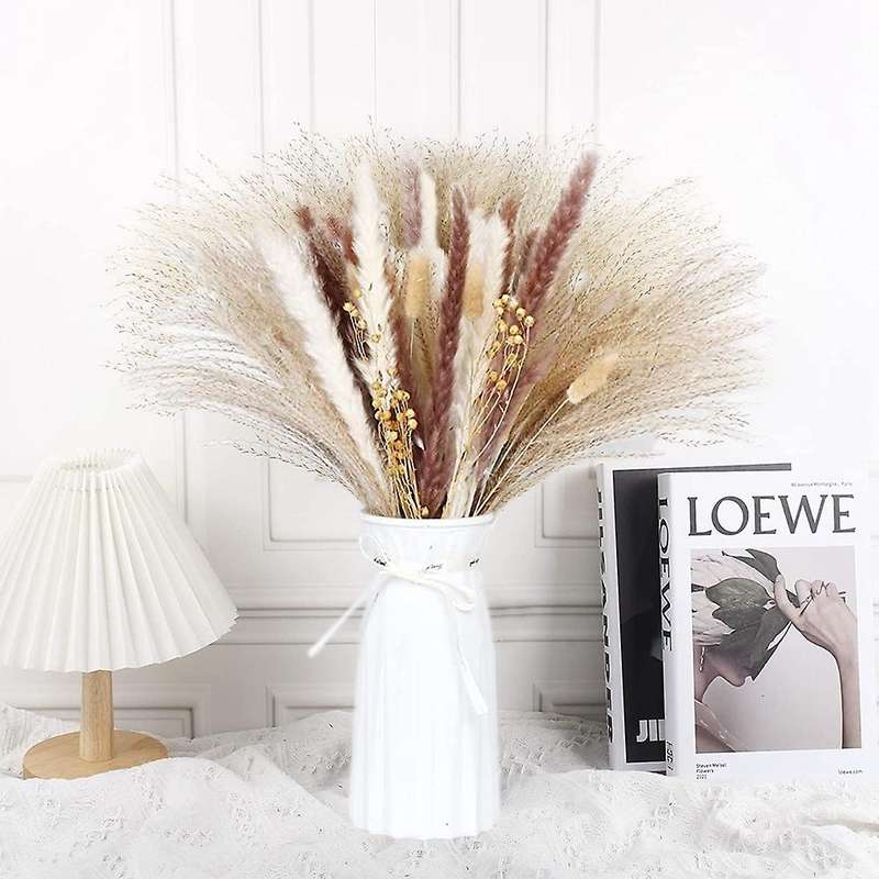 Pappas Grass Plums,fluffy Pappas Grass Plant Branches,tusk
