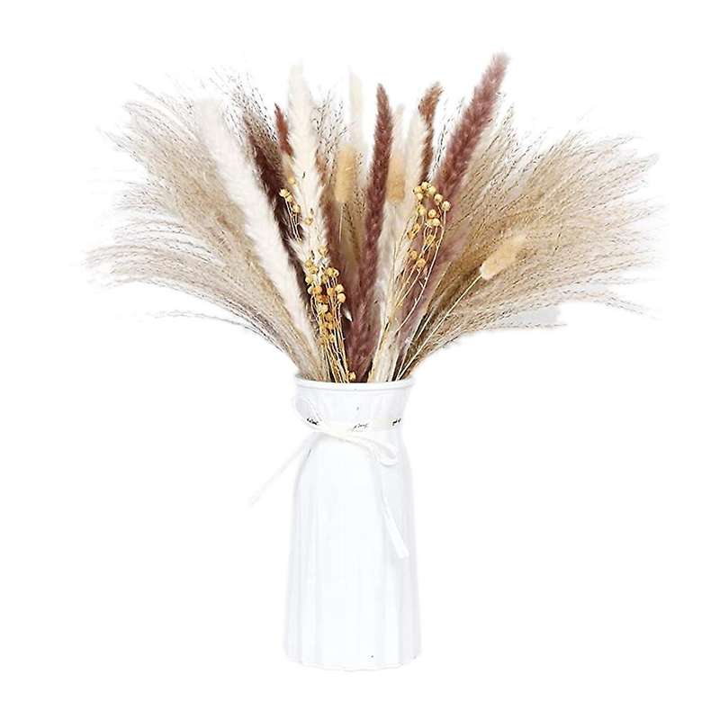 Pappas Grass Plums,fluffy Pappas Grass Plant Branches,tusk