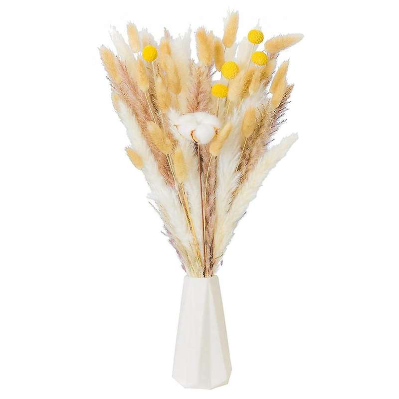 Dried Pampas Grass Ornament,natural Pomba Hay for Flower