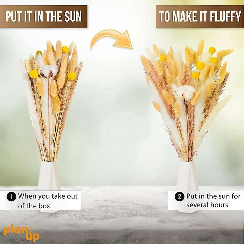Dried Pampas Grass Ornament,natural Pomba Hay for Flower