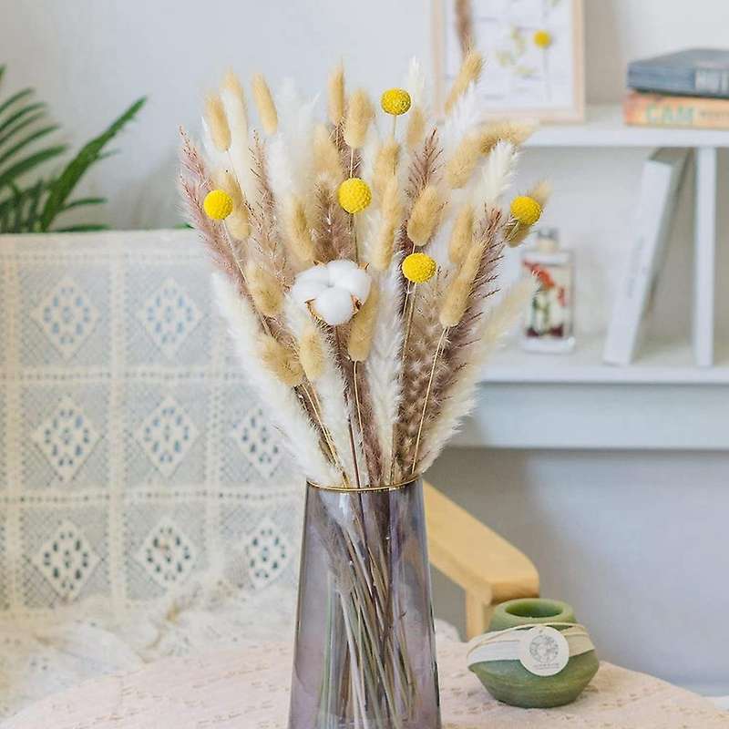 Dried Pampas Grass Ornament,natural Pomba Hay for Flower