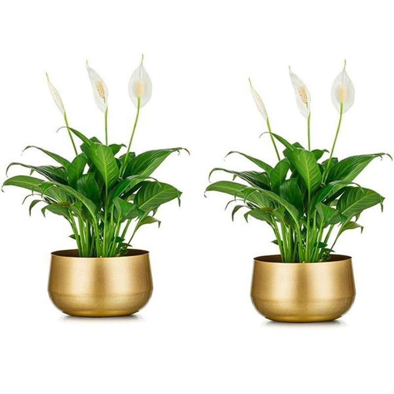 1pcs Flower Pot Plant Pot Planter Sturdy Exquisite Delicate Planter