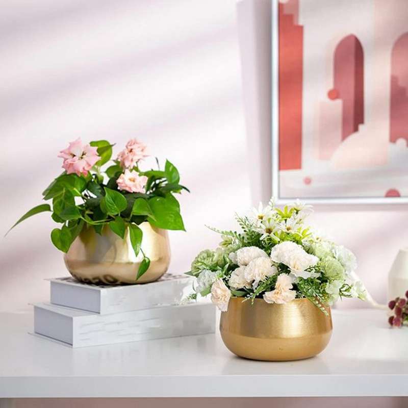 1pcs Flower Pot Plant Pot Planter Sturdy Exquisite Delicate Planter