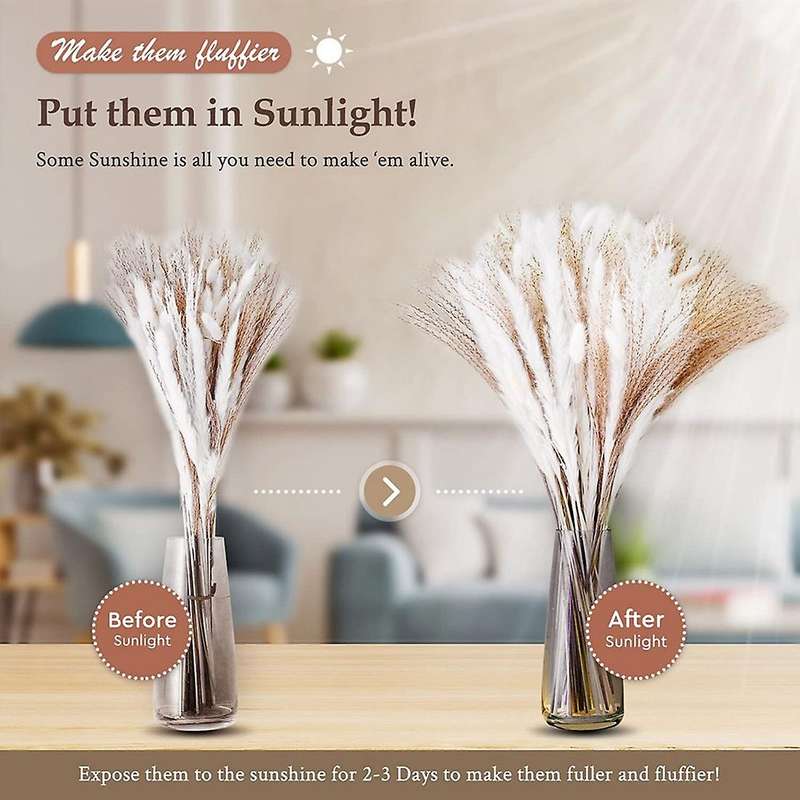 35pcs Pampas&10pcs White Bunny Tail&20pcs Reed Grass 5 Pcs White Reed
