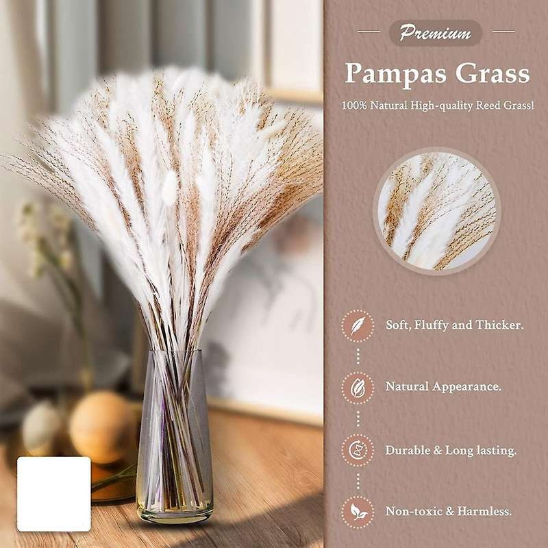 35pcs Pampas&10pcs White Bunny Tail&20pcs Reed Grass 5 Pcs White Reed
