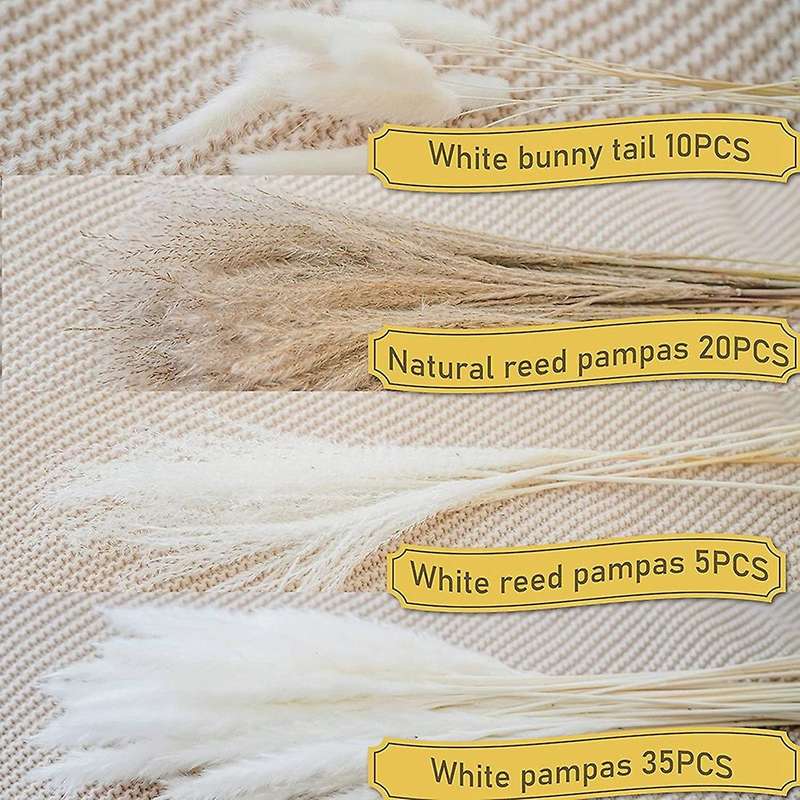 35pcs Pampas&10pcs White Bunny Tail&20pcs Reed Grass 5 Pcs White Reed