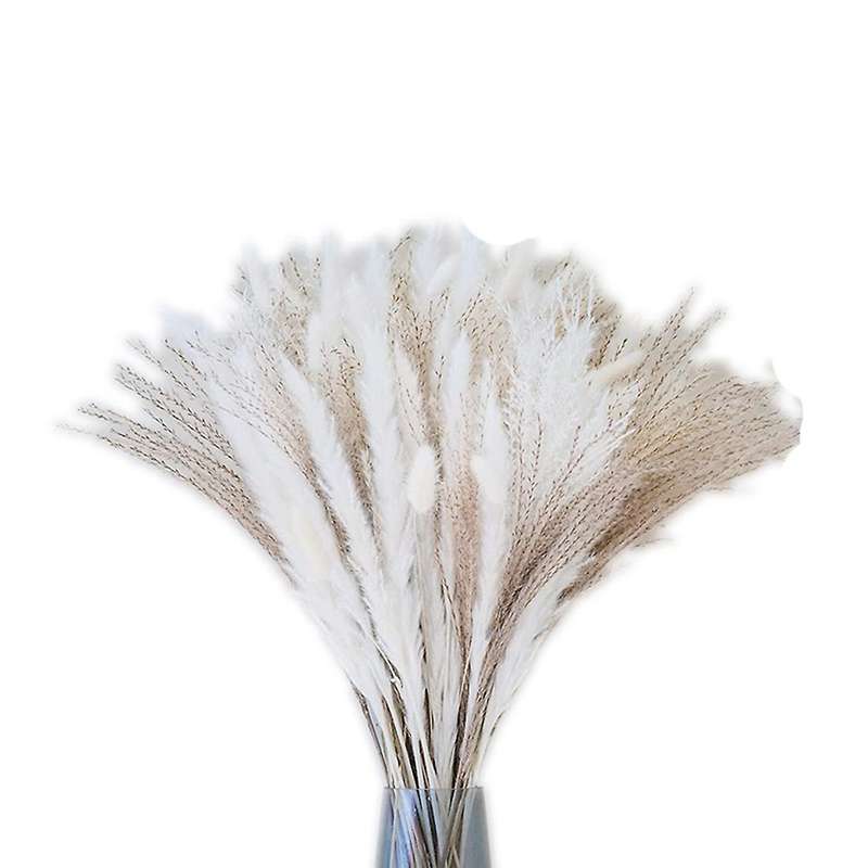 35pcs Pampas&10pcs White Bunny Tail&20pcs Reed Grass 5 Pcs White Reed