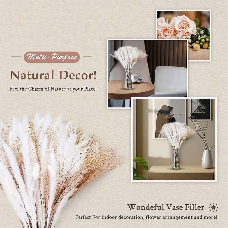 35pcs Pampas&10pcs White Bunny Tail&20pcs Reed Grass 5 Pcs White Reed