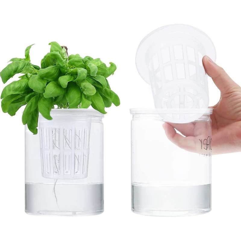 80 Pack 2.36 Inch Net Cups Slotted Mesh Wide Lip Filter Plant Net Pot