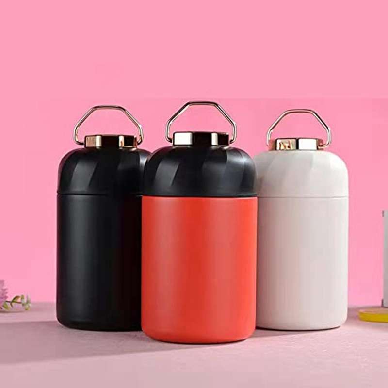 Food Flask Stainless Steel Insulated Jar Hot Food Containers 600ml C