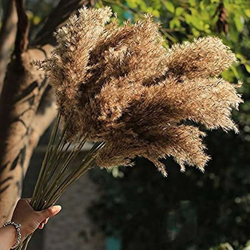 Dried Pampas Grass Decor - 40 Pcs for Flower Arrangements Wedding
