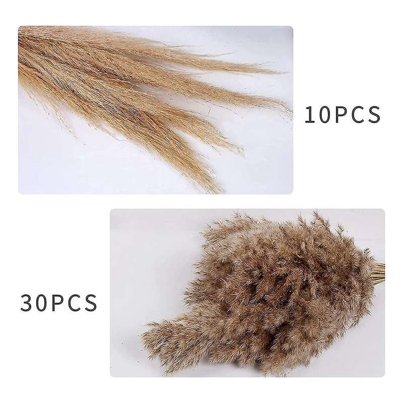 Dried Pampas Grass Decor - 40 Pcs for Flower Arrangements Wedding