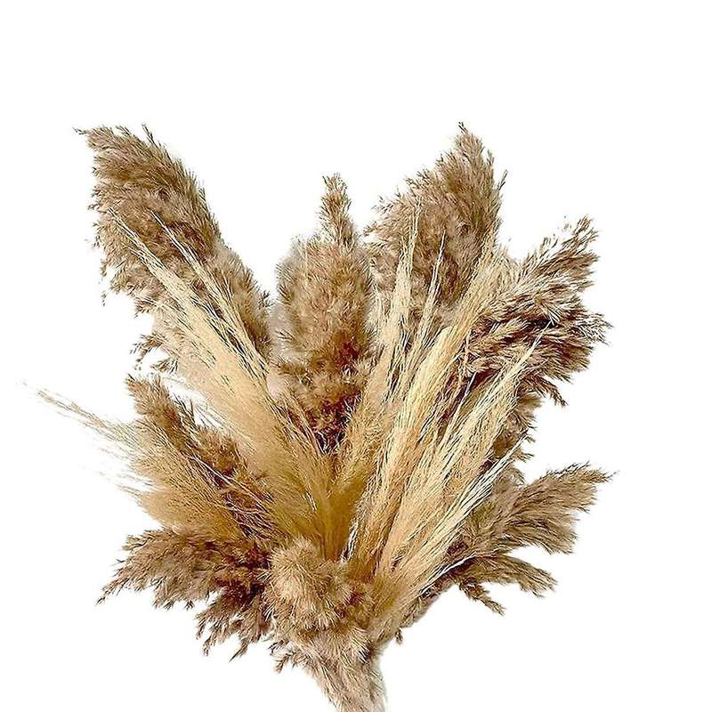 Dried Pampas Grass Decor - 40 Pcs for Flower Arrangements Wedding