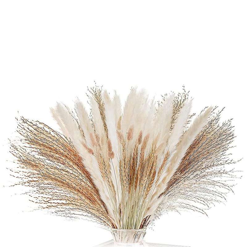 Natural Dried Pampas Grass Decor: 70 Pcs Fluffy White Pampas Stems
