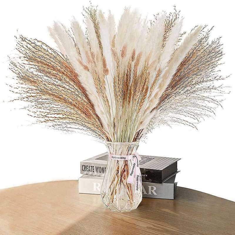 Natural Dried Pampas Grass Decor: 70 Pcs Fluffy White Pampas Stems