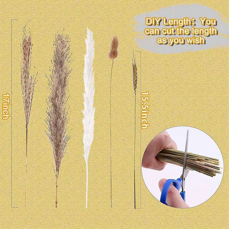 Natural Dried Pampas Grass Decor: 70 Pcs Fluffy White Pampas Stems