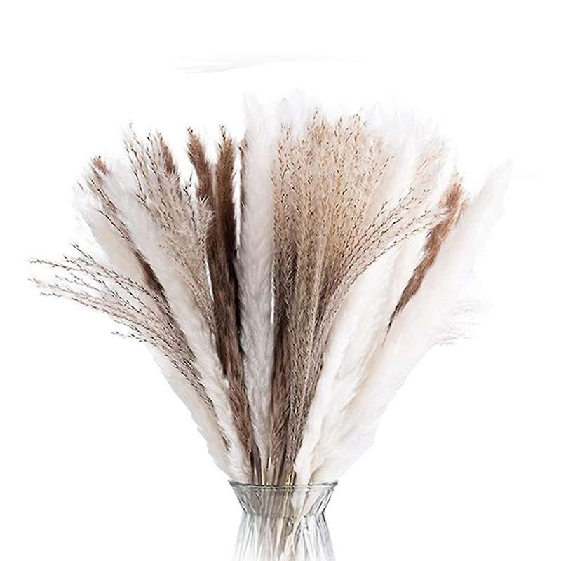 20 Pcs White Pampas & 20 Pcs Brown Pampas & 20 Pcs Reed Grass
