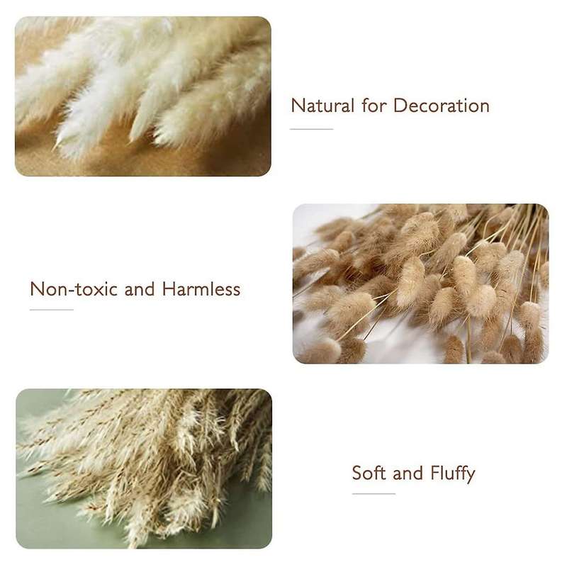 Pampas Grass Decoration Dried Flowers Bouquet for Pampas Grass Vase