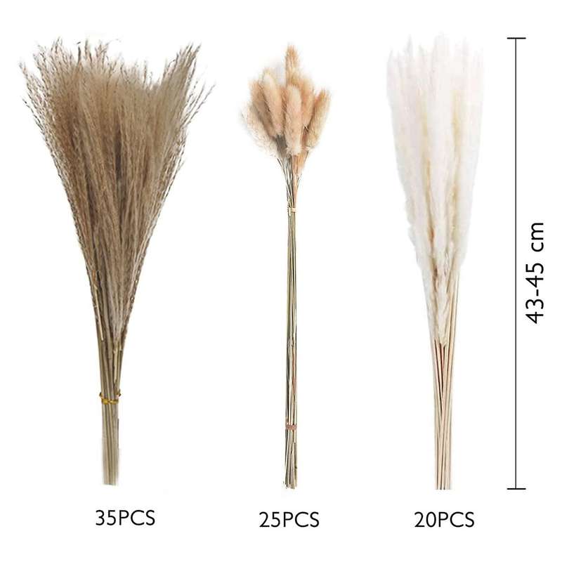 Pampas Grass Decoration Dried Flowers Bouquet for Pampas Grass Vase