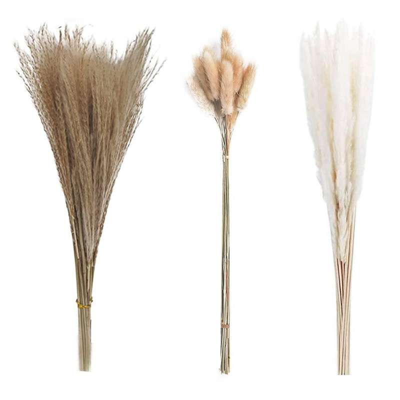 Pampas Grass Decoration Dried Flowers Bouquet for Pampas Grass Vase