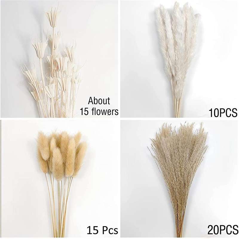 Natural Dried Pampas Grass,white Pampas Grass Plants,for Flower Vase