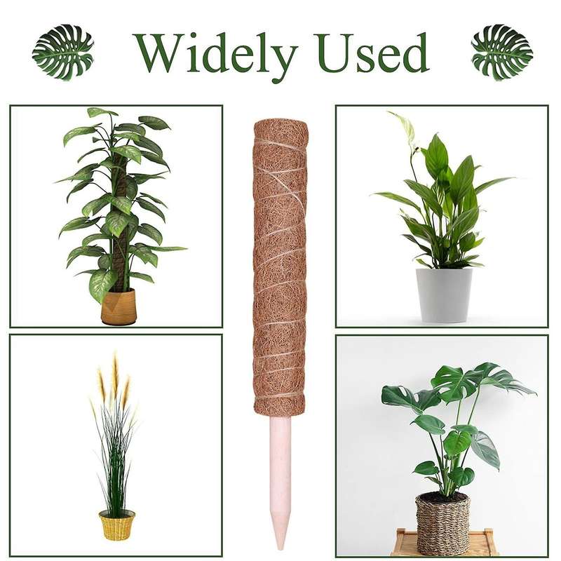 15.7 Inch Coco Coir Moss Pole for Monstera and Potted Plants to Grow