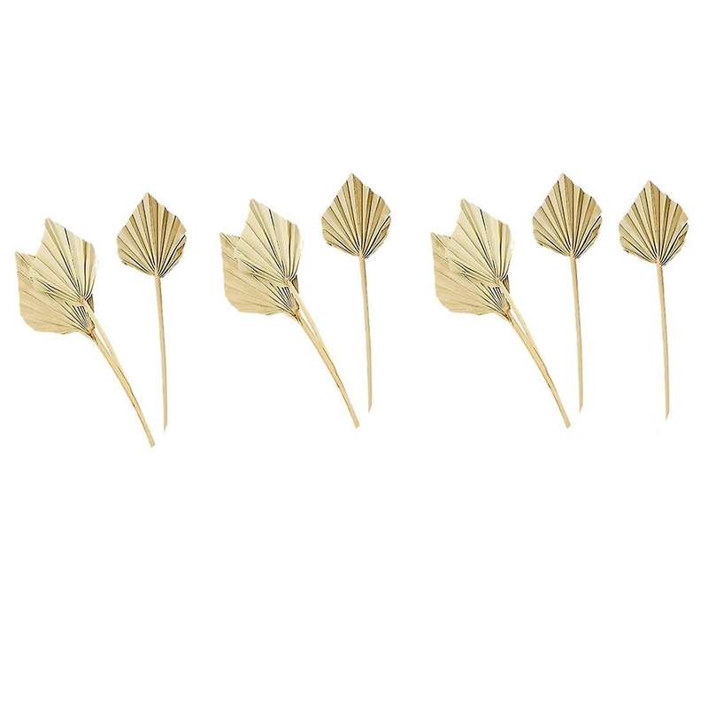 10 Pcs Boho Dried Palm Spears Natural Dried Palm Fans Dried Palm