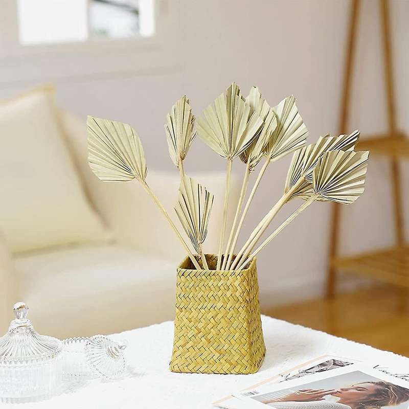 10 Pcs Boho Dried Palm Spears Natural Dried Palm Fans Dried Palm