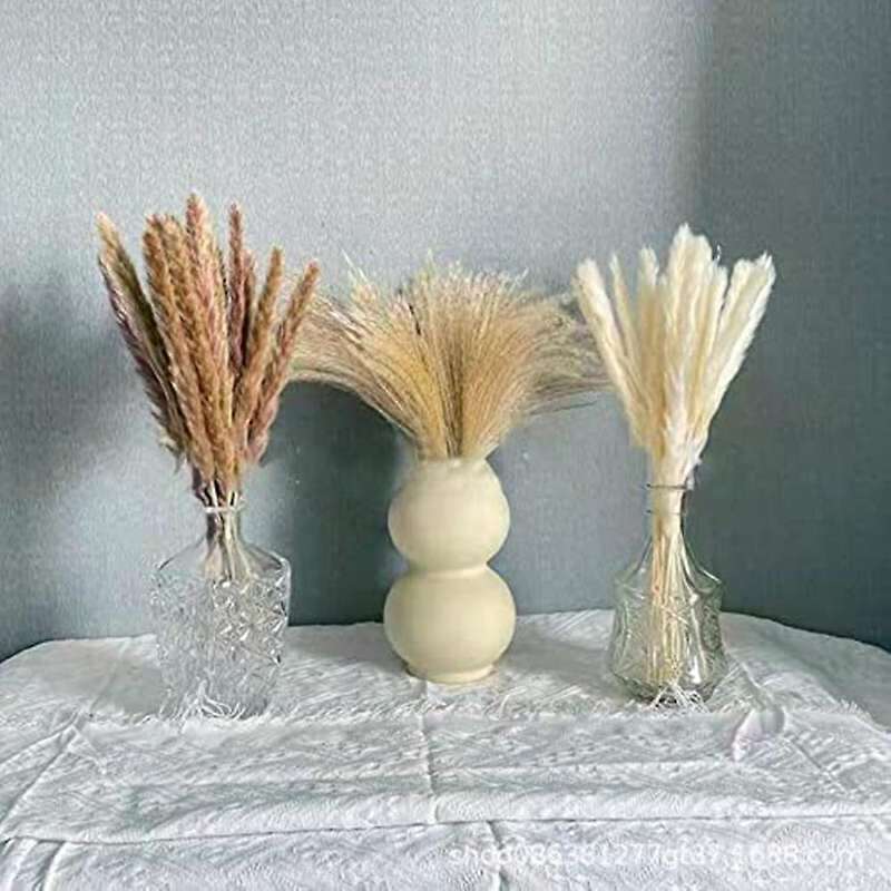 Pampas Grass Dried Decoration for The Living Room and Bedroom