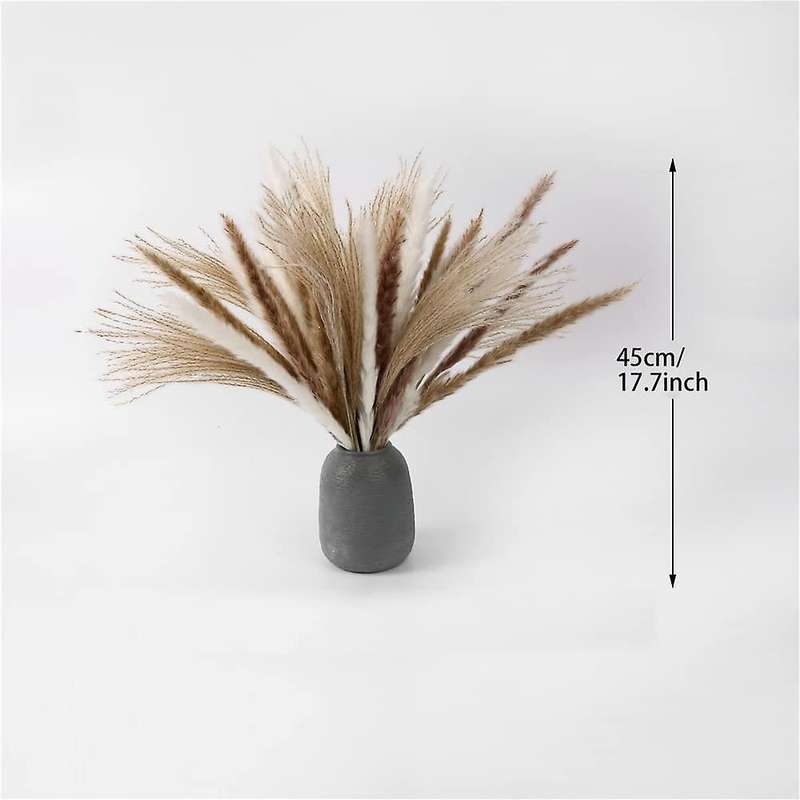 Pampas Grass Dried Decoration for The Living Room and Bedroom