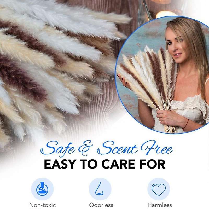 60pc Dried Pampas Grass Set Of Beige, Brown, and White Pampas