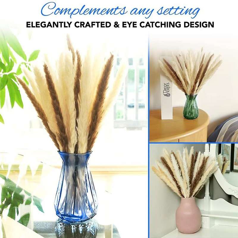 60pc Dried Pampas Grass Set Of Beige, Brown, and White Pampas