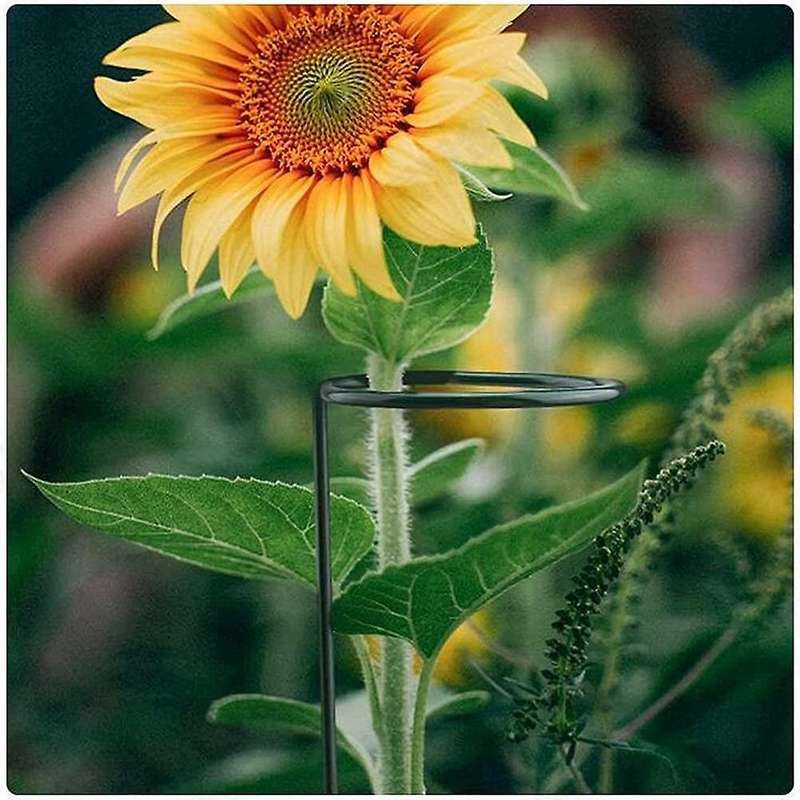 8 Pack Plant Support Stakes, 15.7 Inch with 24 Pcs Twist Ties