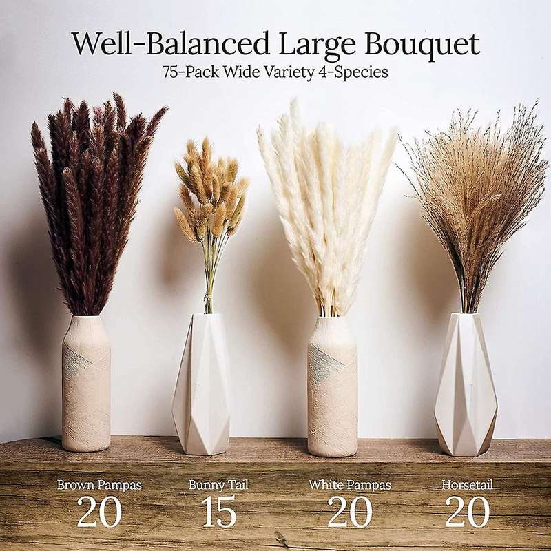Dried Pampas Grass Decor - 75-pack Natural Pompous Grass 17inch