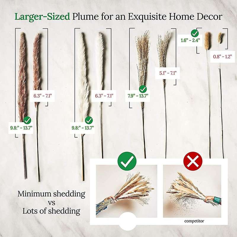Dried Pampas Grass Decor - 75-pack Natural Pompous Grass 17inch