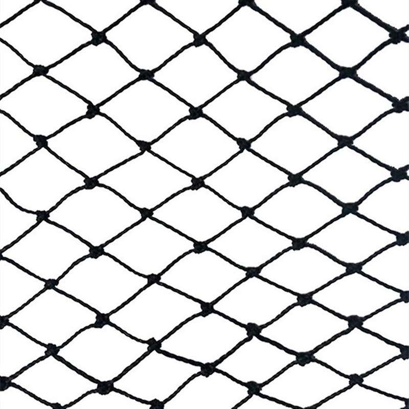 Black Nylon Anti Bird Net Netting Mesh for Fruit Crop Plant