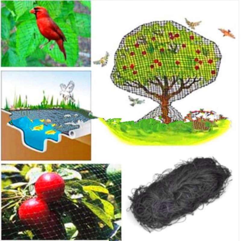 Black Nylon Anti Bird Net Netting Mesh for Fruit Crop Plant