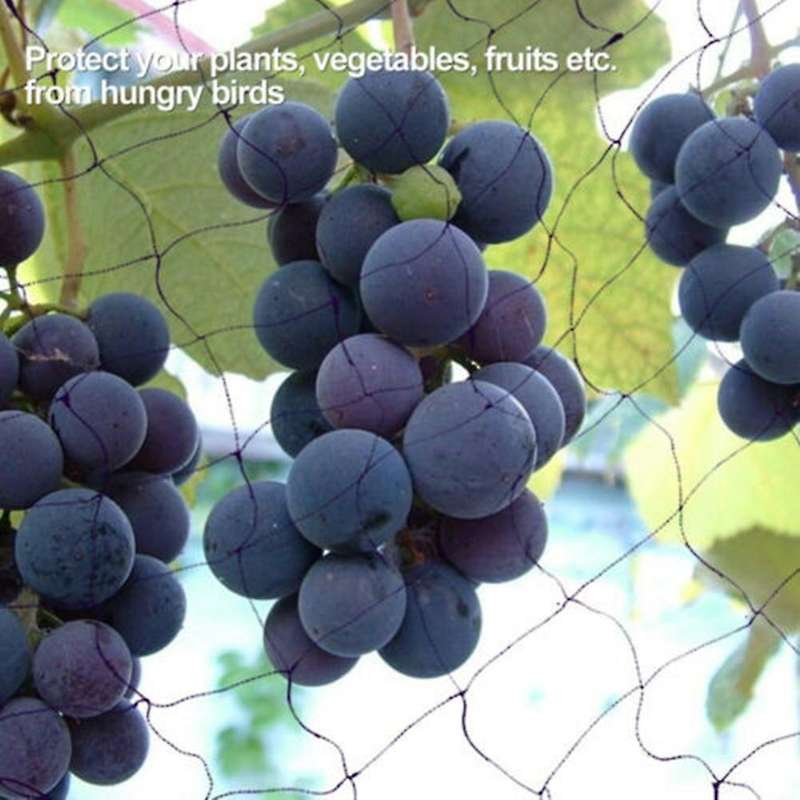 Black Nylon Anti Bird Net Netting Mesh for Fruit Crop Plant