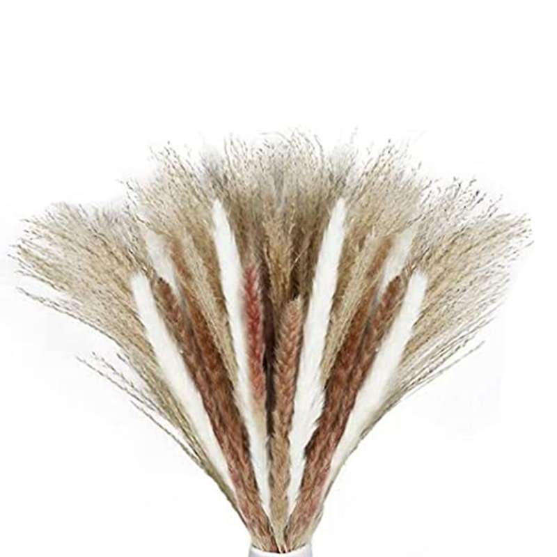 60 Pcs Natural Dried Pampas Grass, Dried Pompous Grass, 3 Kinds