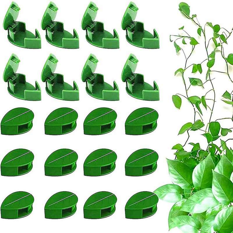 Plant Climbing Wall Clamp Self for Home Decor Cable Organizer