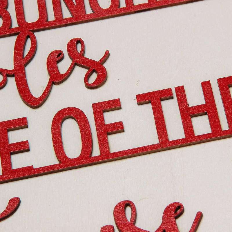 Jolliest Bunch Of A Holes Nuthouse Christmas Door Hanger Wreaths-b