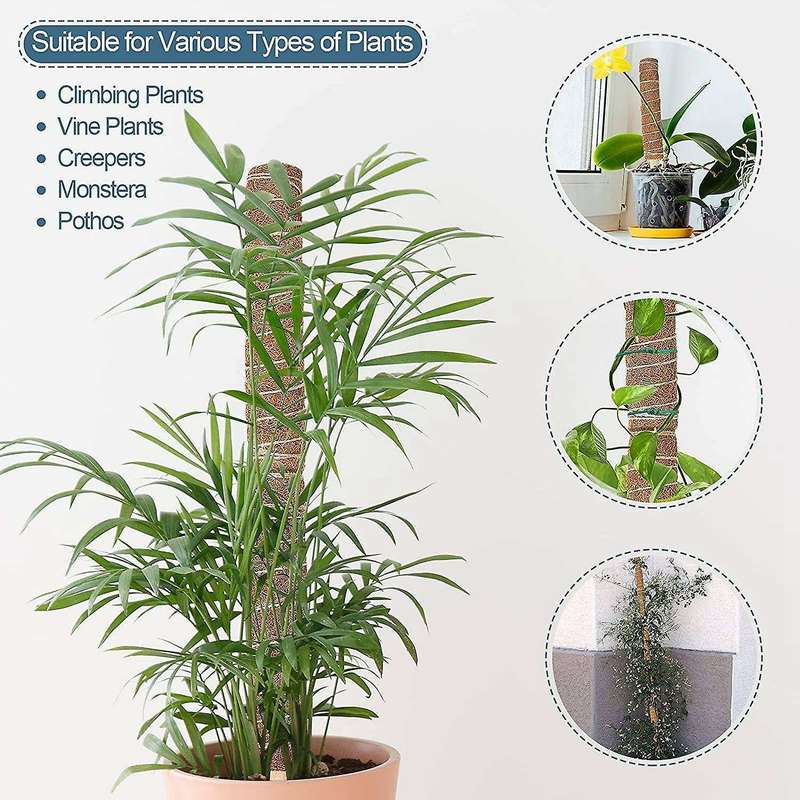 Moss Poles Set - 3pcs Coir Totem Pole for Potted Climbing Plants
