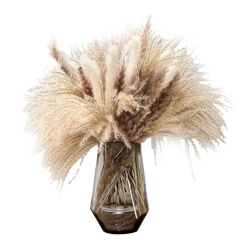Dried Pampas Grass,natural Dried Pampas for Floral Arrangements