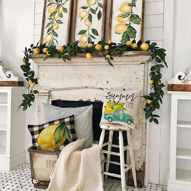 Summer Decorations for Home Farmhouse Throw Pillows Cushion Case