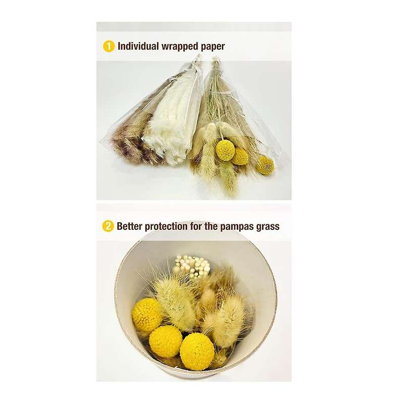 Natural Dried Flower Bouquet Dried Pampas & Bunny Tails Bouquets