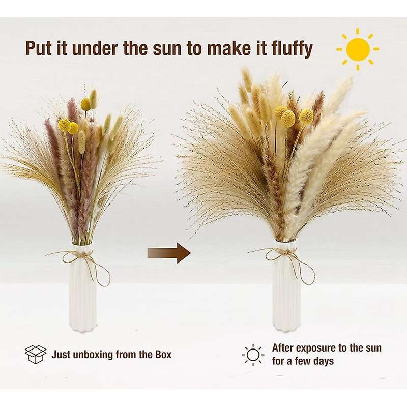 Natural Dried Flower Bouquet Dried Pampas & Bunny Tails Bouquets