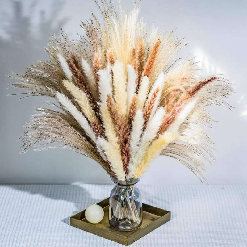 70pcs Natural Dried Pampas Grass Bouquets for Home Wedding Boho Decor
